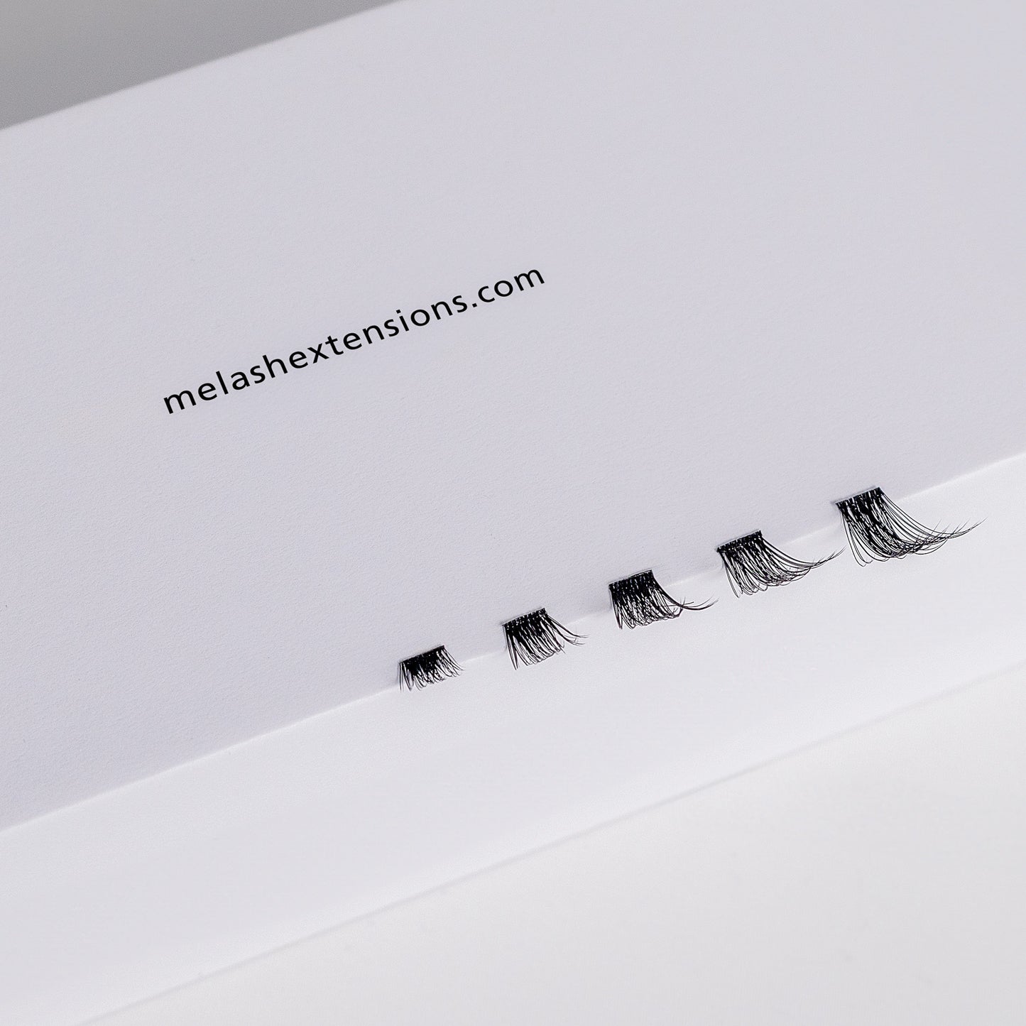 Lash Extension Kit - Divine Drama